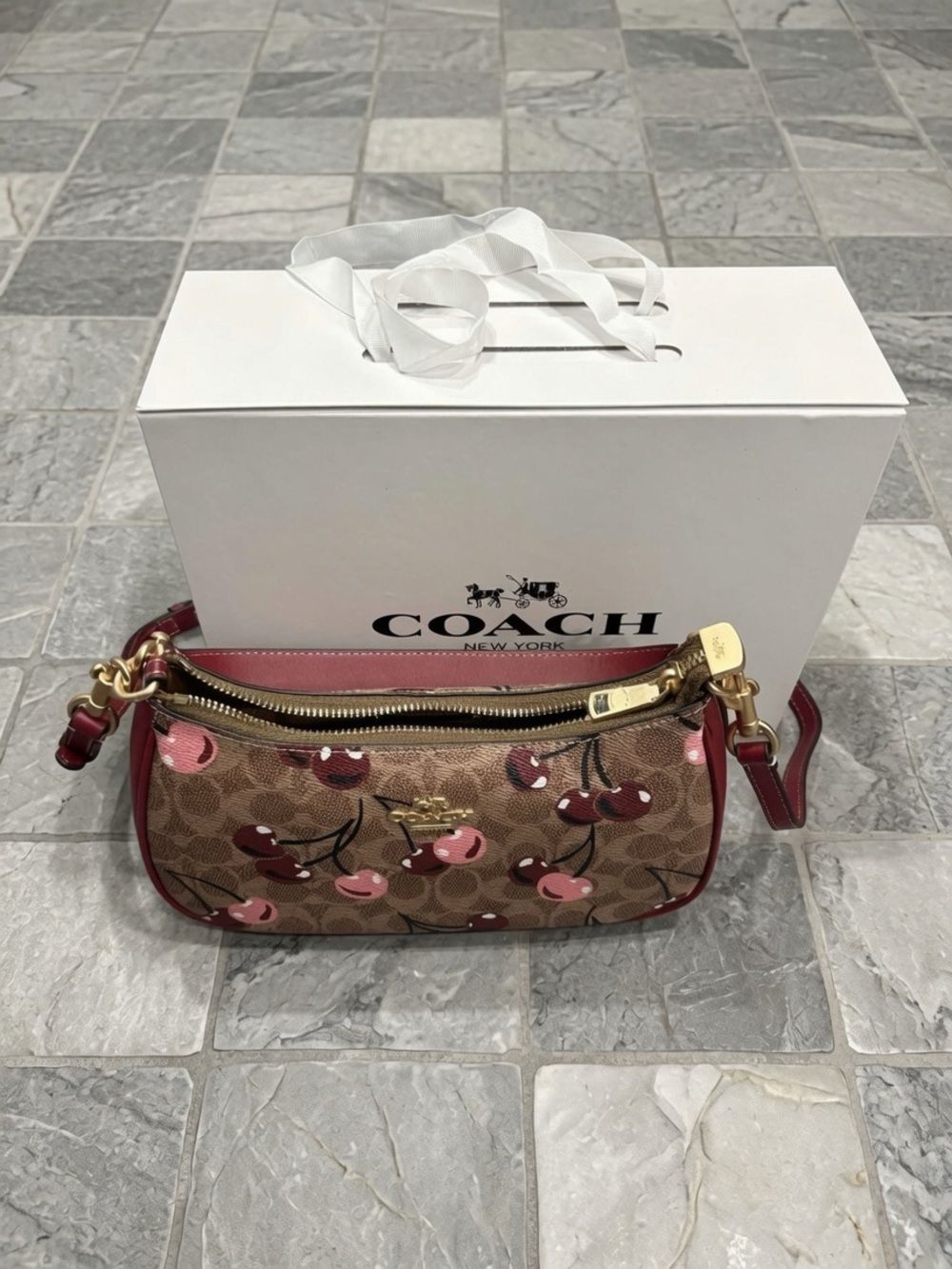 Coach Cherry-Print Signature Crossbody Bag in Brown & Pink